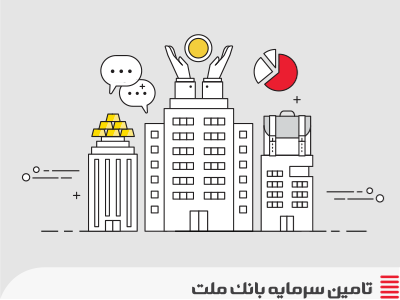 دانش تامین مالی-کارکرد شرکت‌های تامین سرمایه