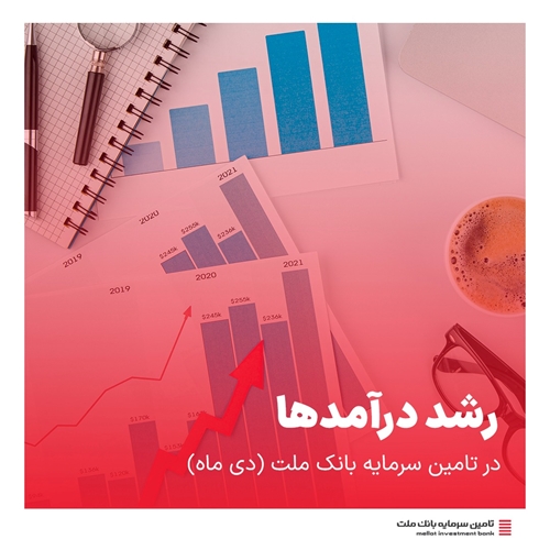 سهام-گزارش درآمدی تملت در دی ماه ۱۴۰۳