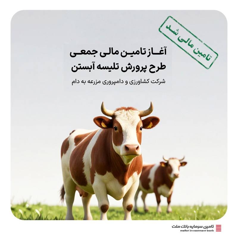 تامین مالی-تامین مالی جمعی طرح " تامین سرمایه در گردش پرورش تلیسه آبستن "