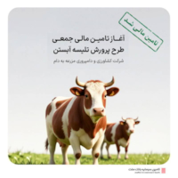 تامین مالی-تامین مالی جمعی طرح " تامین سرمایه در گردش پرورش تلیسه آبستن "