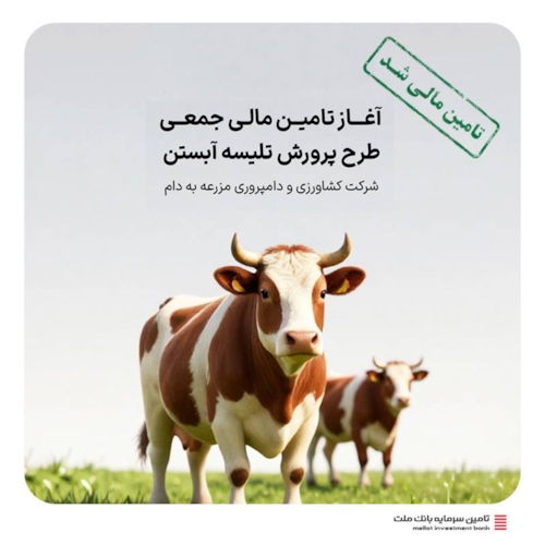 تامین مالی-تامین مالی جمعی طرح " تامین سرمایه در گردش پرورش تلیسه آبستن "
